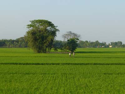 P1000666