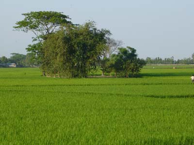 P1000667