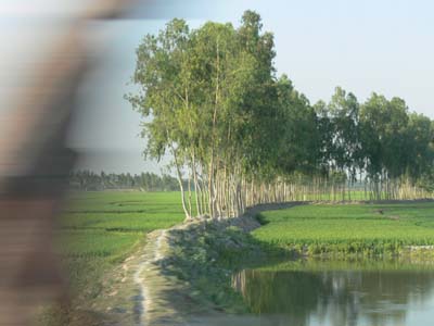 P1000773