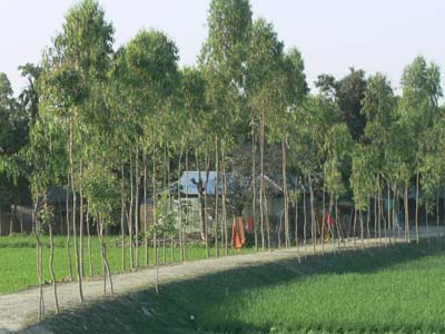 P1000777