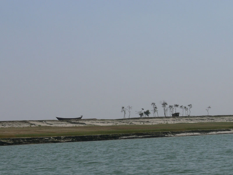 11e_P1000704