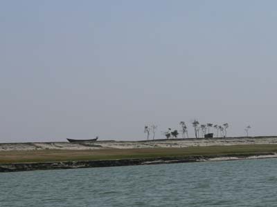 11e_P1000704