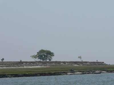 11f_P1000705