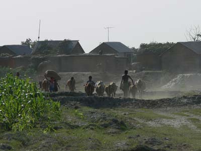 14d_P1000767