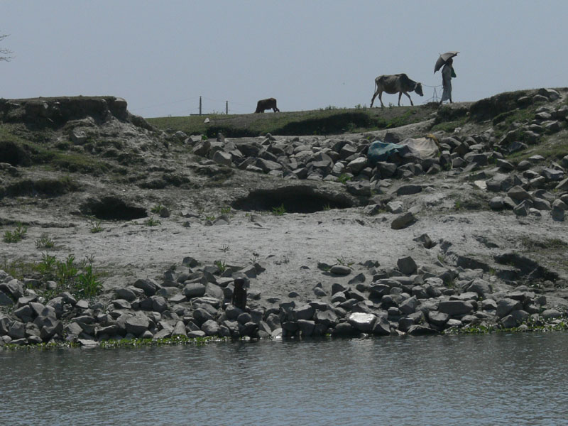16h_P1000836
