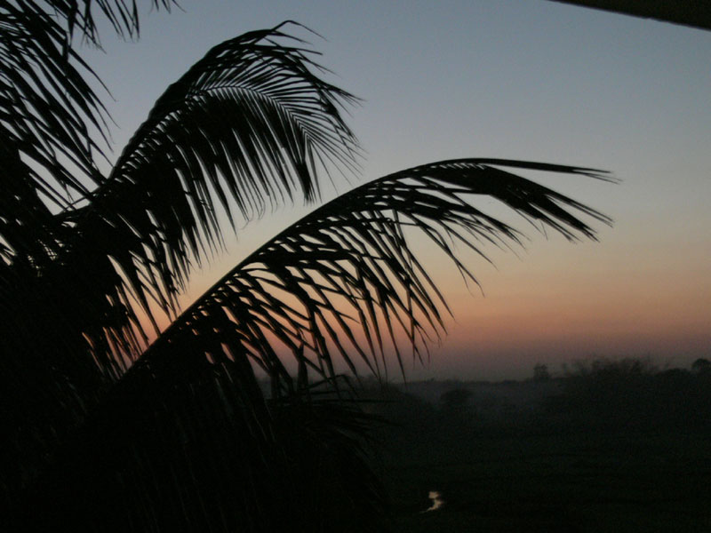 17a_P1000744