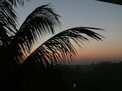 17a_P1000744