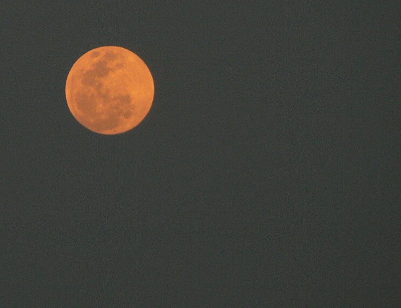 P1000533