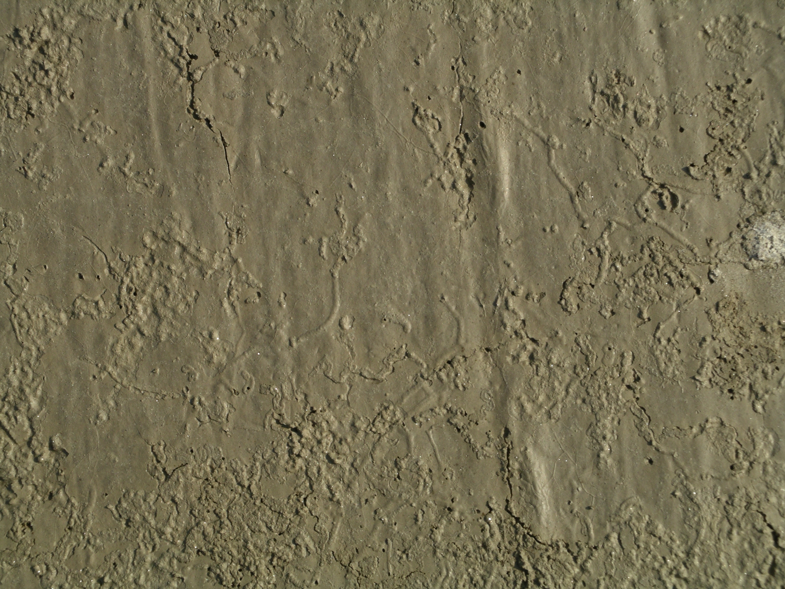 S14_1f