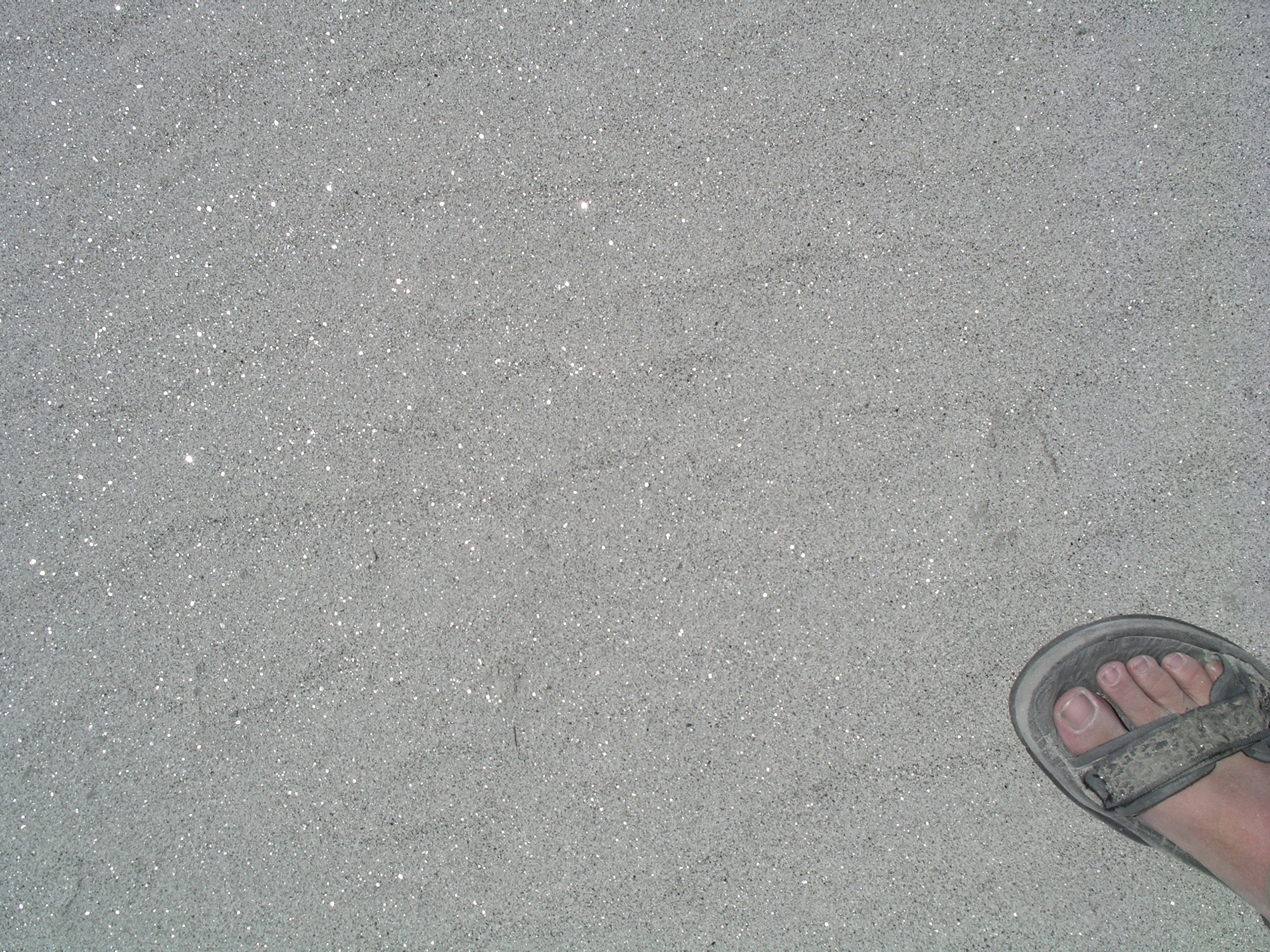 S53_0663a_7553