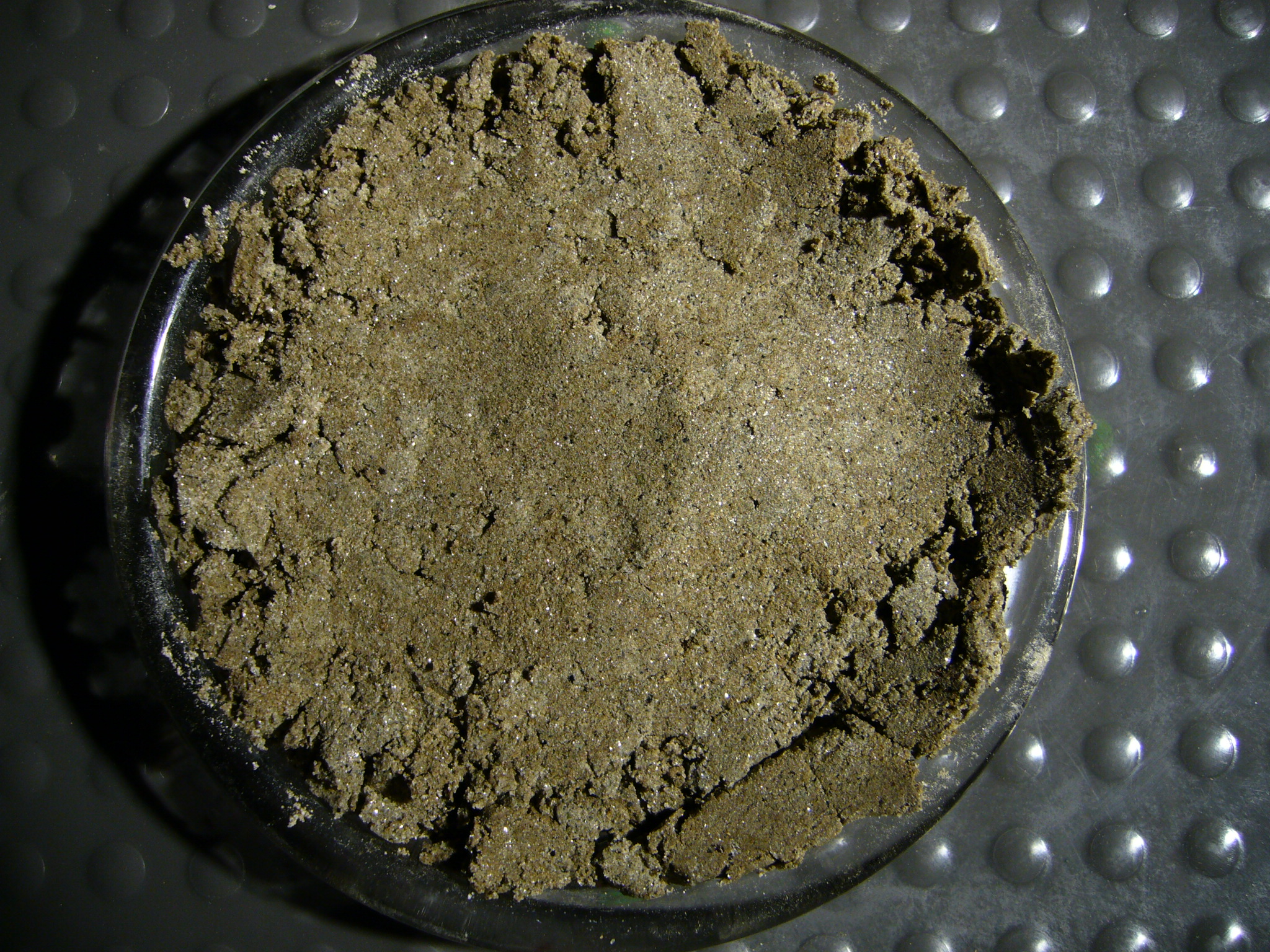 S54_p488