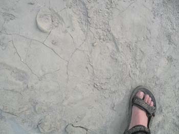 S02_0621a_7334