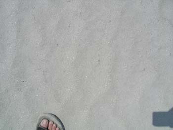 S07_0625c_7369