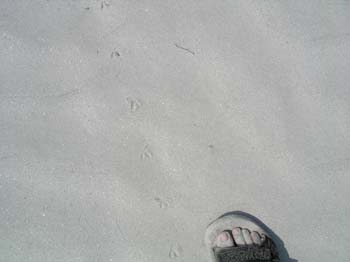 S09_0626_7372