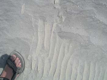 S48_0664a_7568