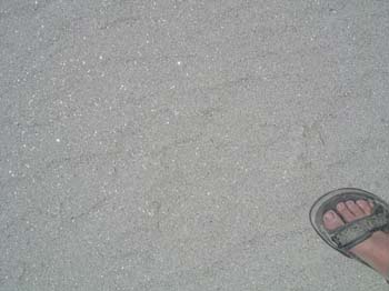 S53_0663a_7553
