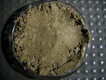 S54_p488