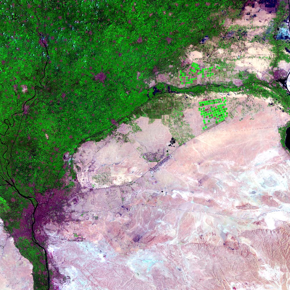 Cairo07232003b1_7Ls1Kurb742