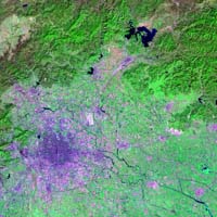 Beijing09222009urb742