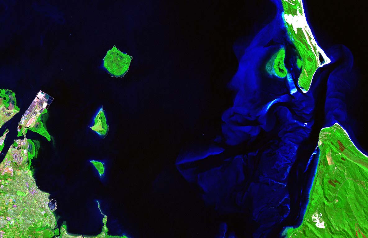 04_BrisMouth