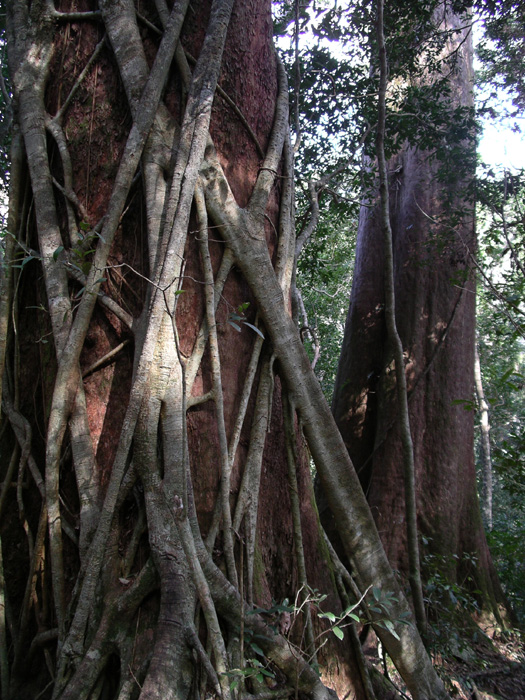 040927_000740
