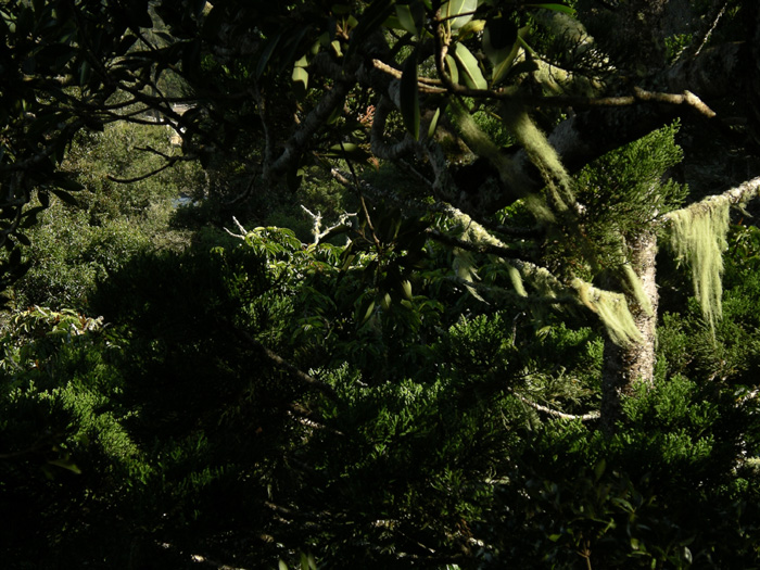 040927_182801