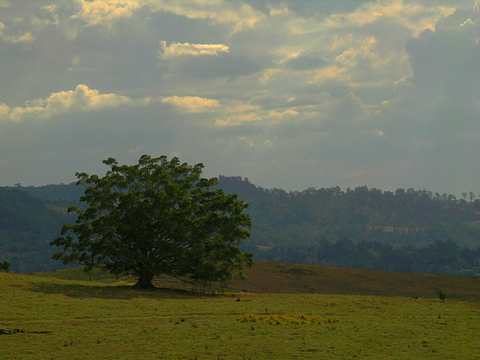 040930_011051 copy