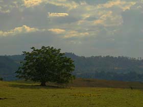 040930_011051 copy