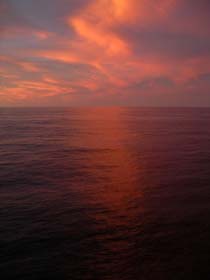 041009_023734