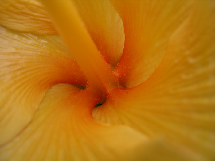 041027_213535