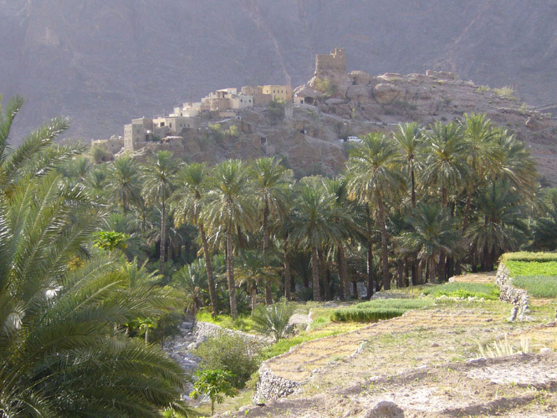 J_P1020048