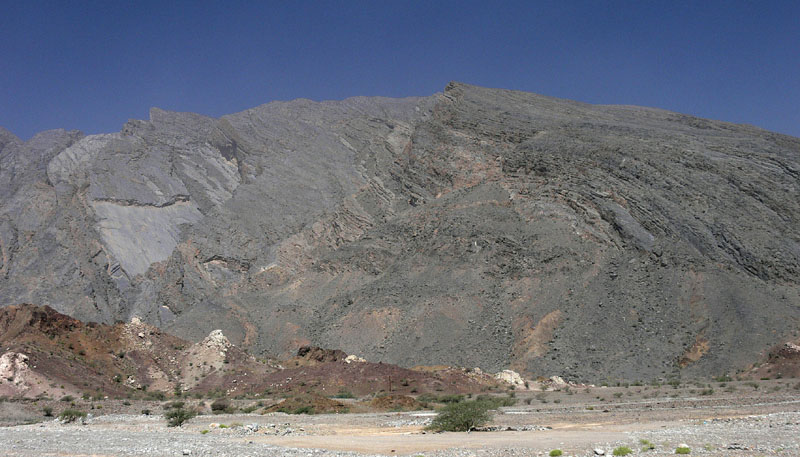 P1010261