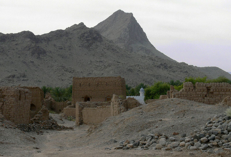 P1010341