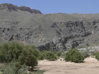 P1010294