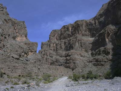 P1010306