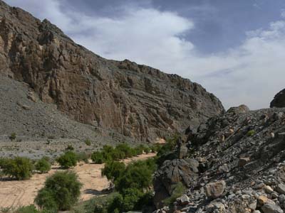 P1010329