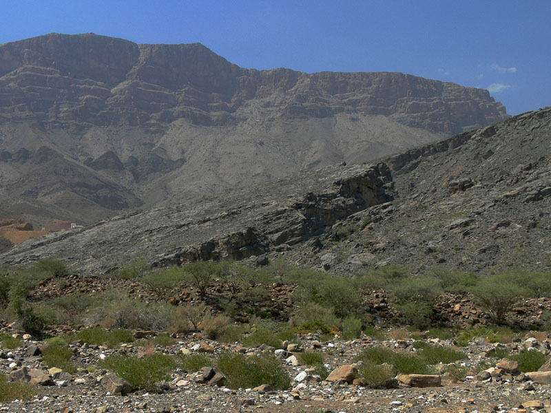 E_P1010527