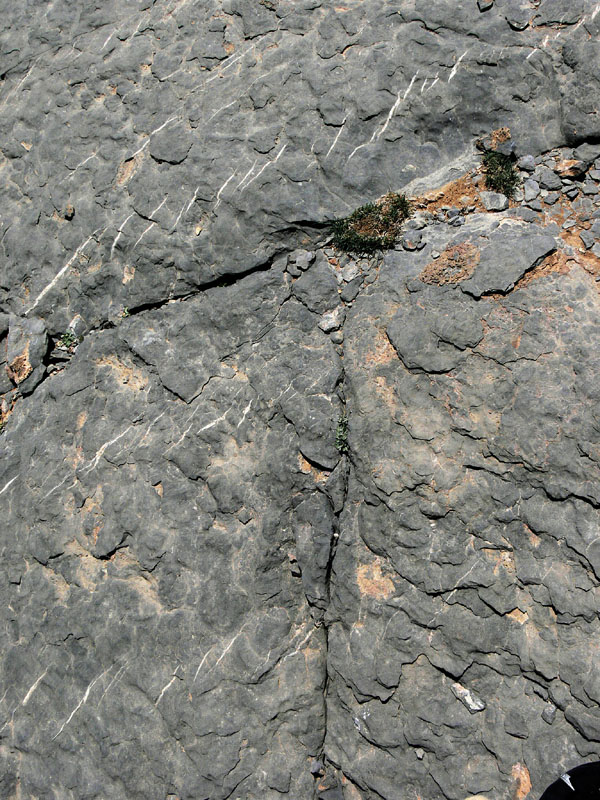J_P1010488