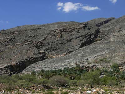 P1010526