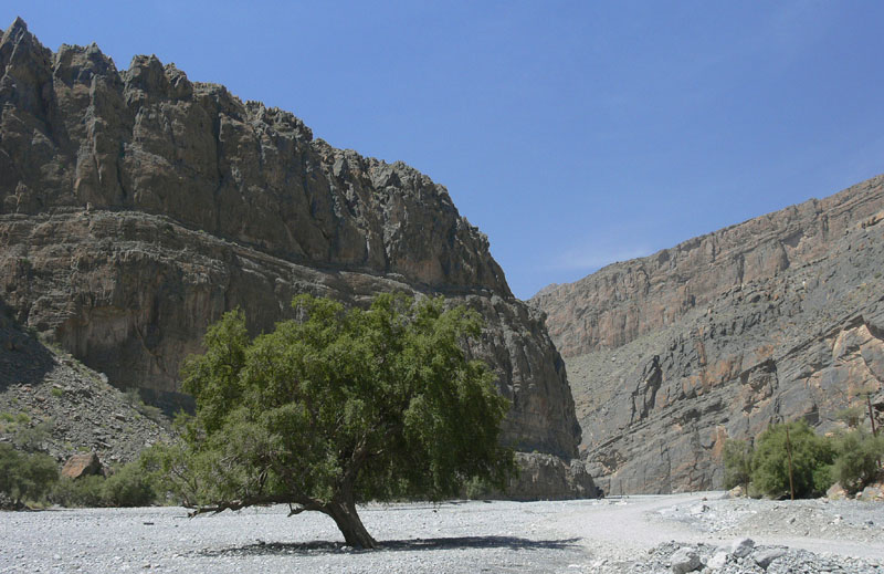 P1010564