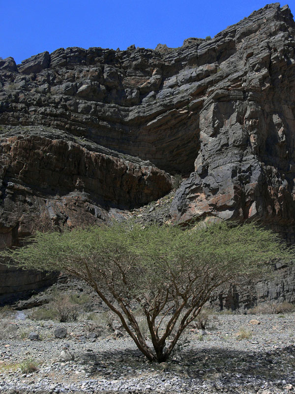 P1010569