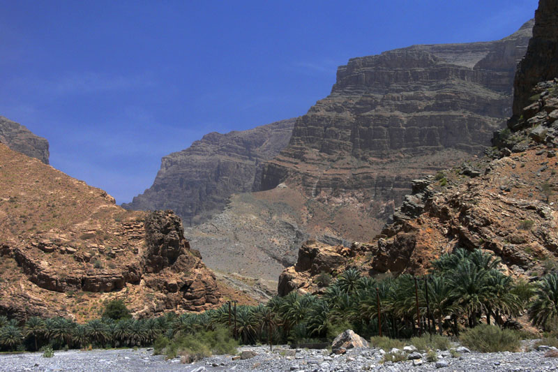 P1010585