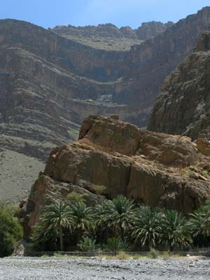 D_P1010593