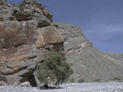 P1010566