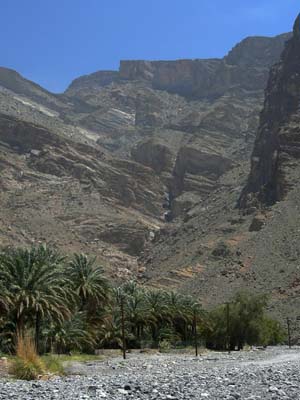 P1010590