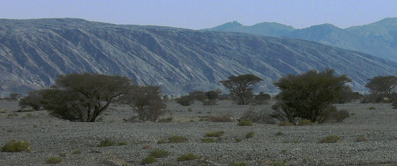 G_P1010674