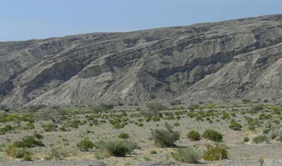 H_P1010662