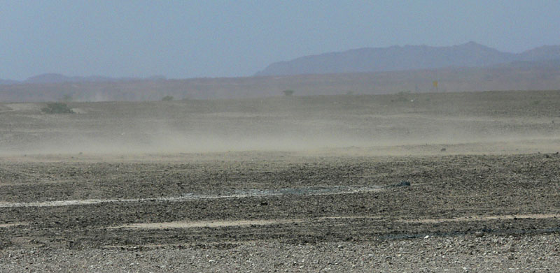 D_P1010646