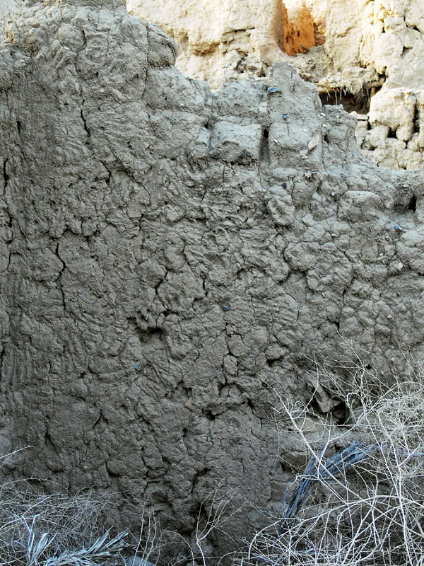 P1010691