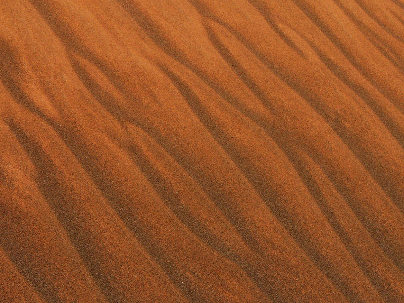 L_P1010773